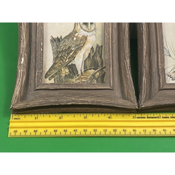 VTG MCM Pair Of Owl Prints 1970’s Rambow Rustic Wall Art Bird Halloween Decor - Picture 10 of 10